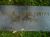 Headstone, Hallie J Gentry